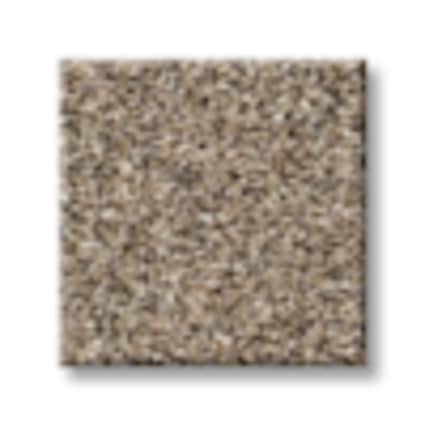 Shaw Battery Park Texture Carpet with Pet Perfect